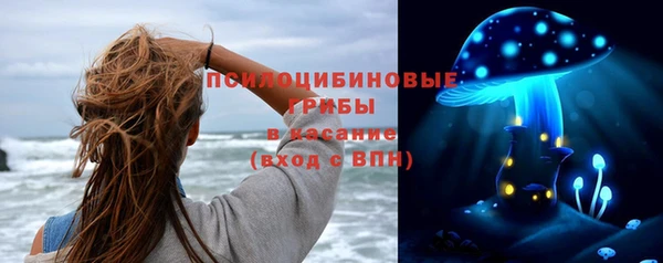 мяу мяу мука Куйбышев