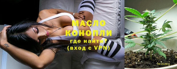 сатива Сатка