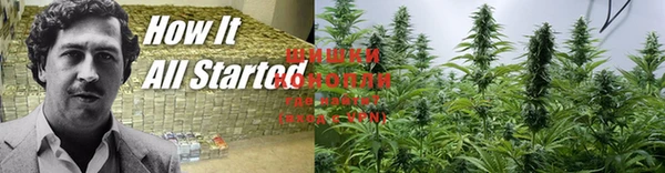 мет Кукмор
